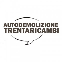 FIAT DOBLO' CARGO (2006-2009) 1.6 BENZINA/METANO 76KW COPPIA UGELLO TERGICRISTALLI